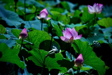 001