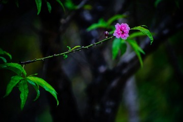 D2B33889-8B3C-4AEC-B21C-13C2A76A5E6D/L0/001