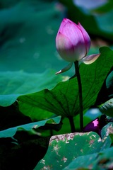 001