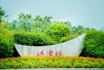 2B6C0FF0-5231-4711-8BE1-58117C51F297/L0/001