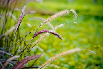 374D123D-B60E-4C4B-82AD-D47840037578/L0/001