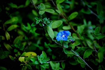 30DD124B-13BB-4CE8-8020-C91A0521E9AA/L0/001