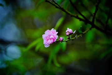 26B7F3F8-56D6-488A-AB87-97CDECCB552F/L0/001