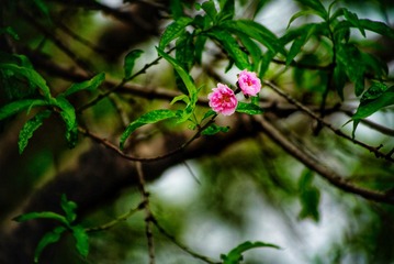 34B42D23-F658-4B07-A35B-F4DAE417DA28/L0/001