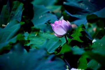 001