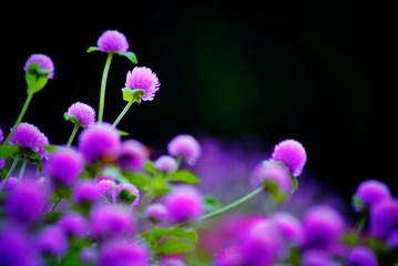 A42B8B5B-A4EF-4219-9EBE-58483FE8CD79/L0/001