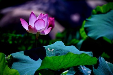 001