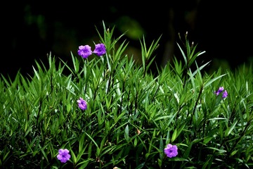 001