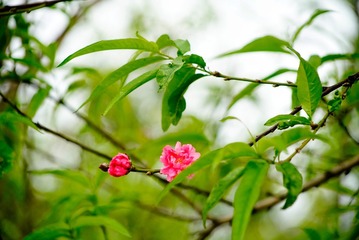 1AAA25F7-793A-4D22-90B3-09ED4A561967/L0/001