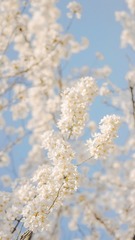 30D493F9-594C-41C7-A42F-C15BDF1826D5/L0/001