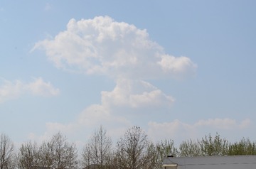 HC0_2255