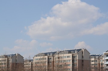 HC0_2256
