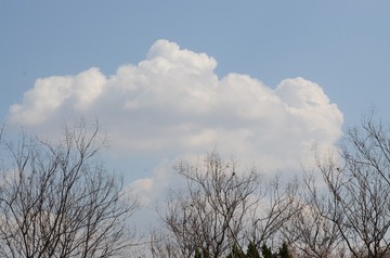 HC0_2259