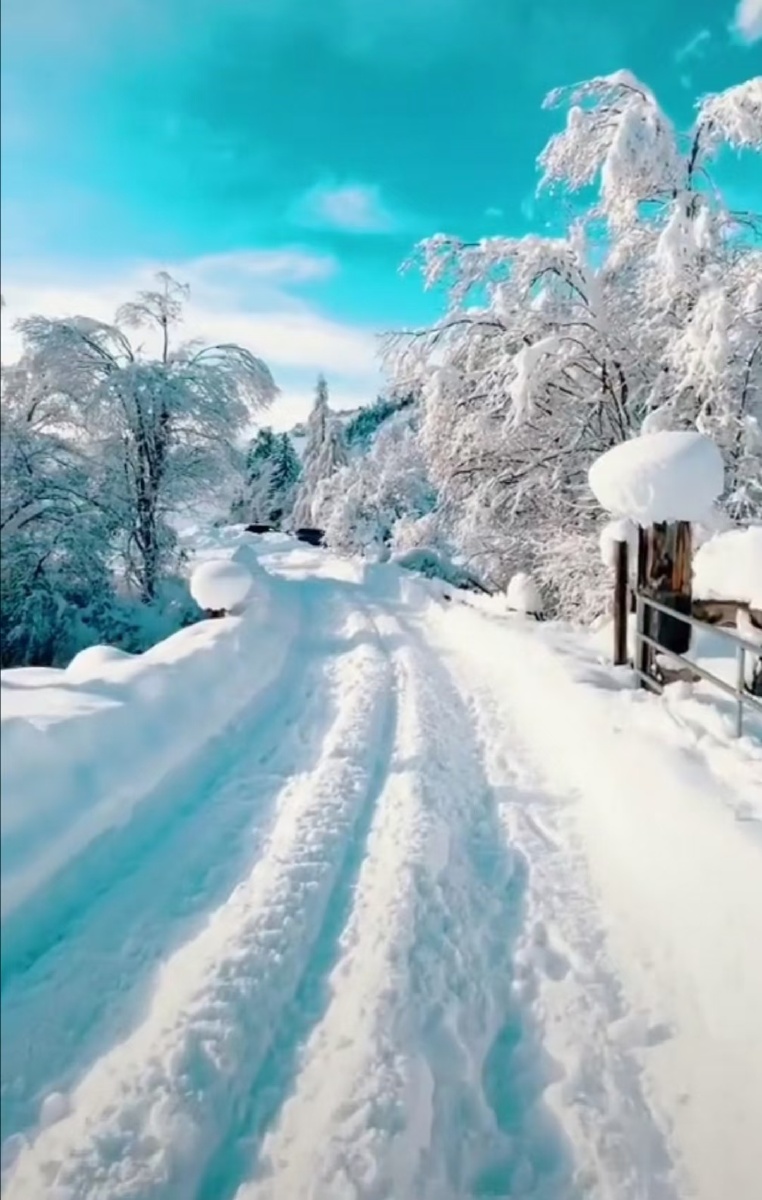 雪天户外活动 - 一心无旁骛 - 图虫