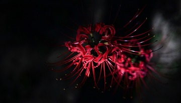 D383D30A-7A05-4E4F-B922-3DFF6D4A1E2B/L0/001