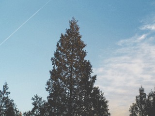 2132713