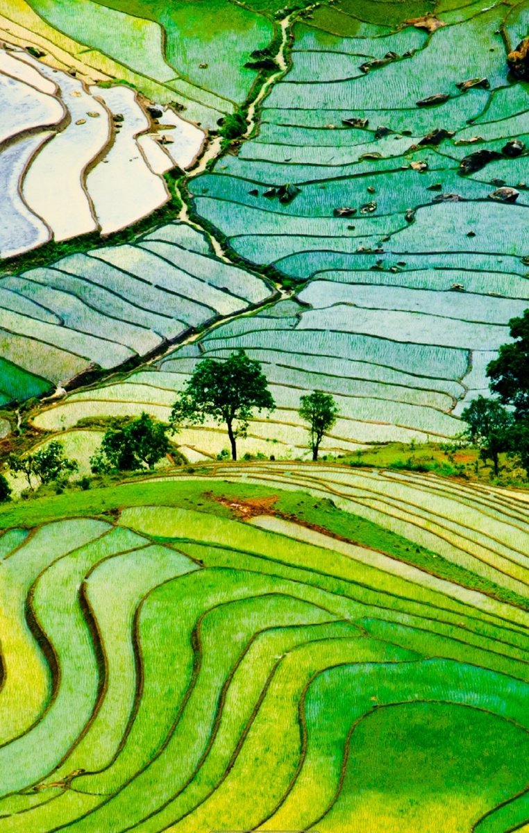 梯田美景,你们大包眼福!