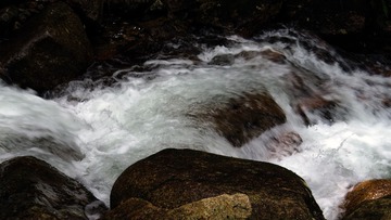 IMG_5768---