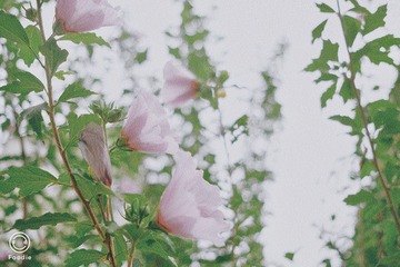 6B0F7E8F-11EF-4AC0-AFB8-3D5F96EDFB95/L0/001