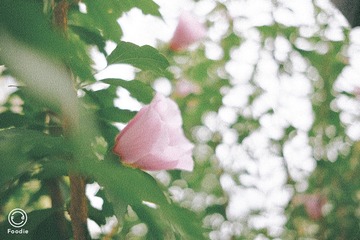30FA4AE6-90A3-474D-9010-B691B8C1DF1B/L0/001