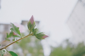 B83F9B09-D534-410E-BB1F-5828500B22EC/L0/001