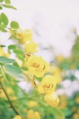 8276CB09-2D2B-4351-90D9-6516AB4BDFAC/L0/001