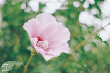 3AF513BF-05FD-41A6-A626-3667239EF4C1/L0/001