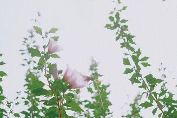 0B95971C-39B7-4A49-B360-800EFF08C553/L0/001
