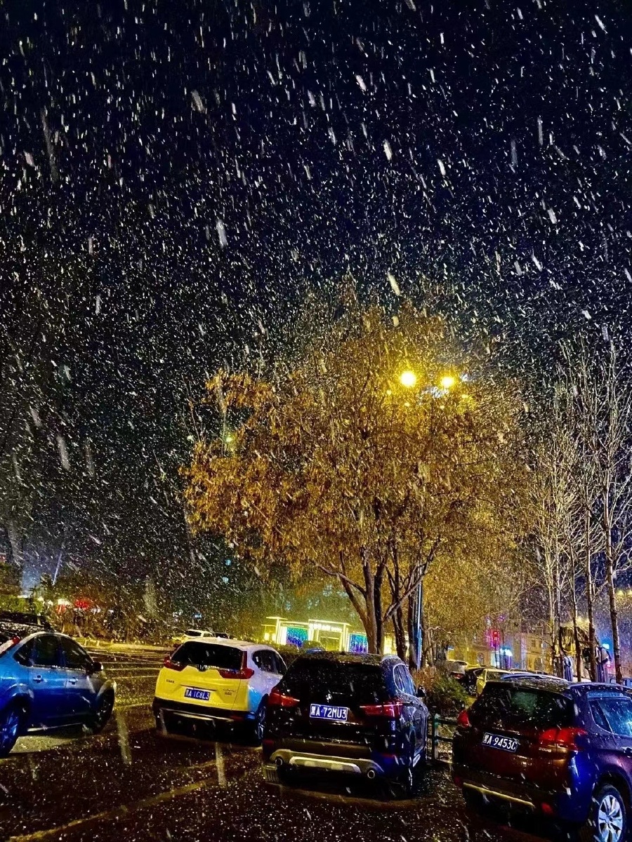 哈尔滨下雪了76