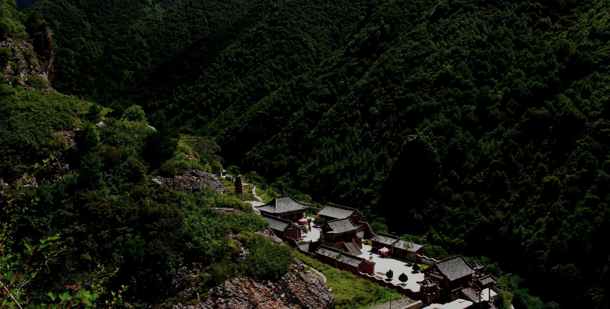 2016年8月摄于张家口小五台山