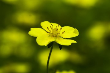 20143