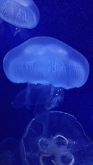 634