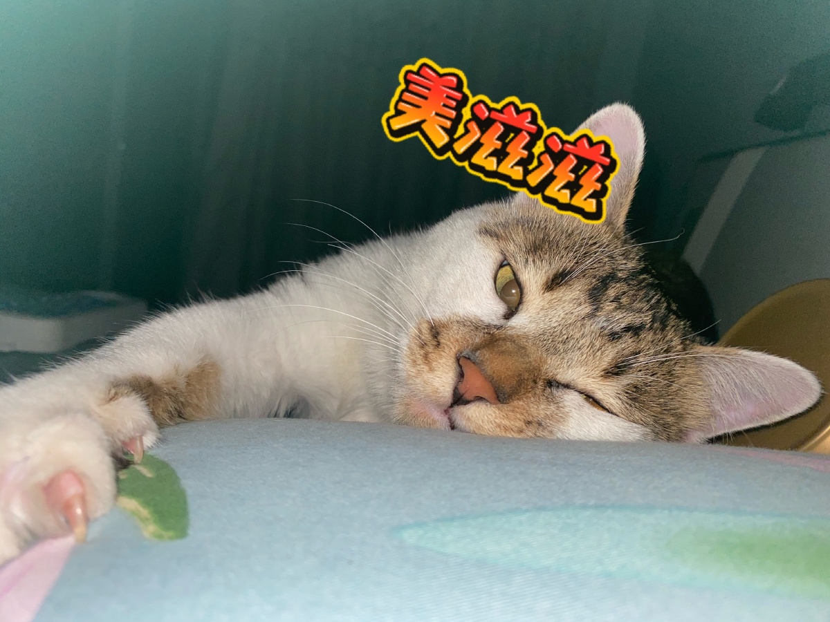 过来陪大爷睡觉