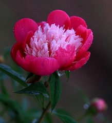 D67B21F0-7F66-4515-AB09-5E68819872C9/L0/001
