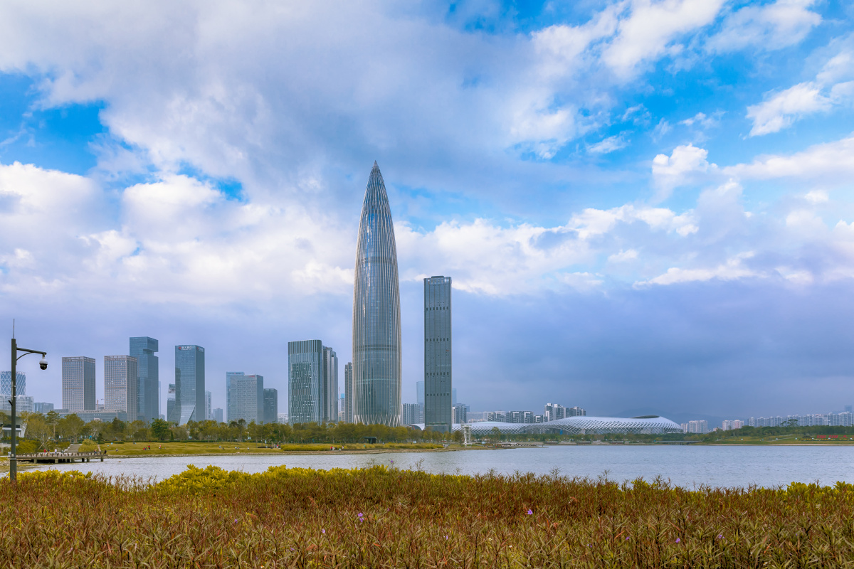 南山区人才公园春笋大厦风光