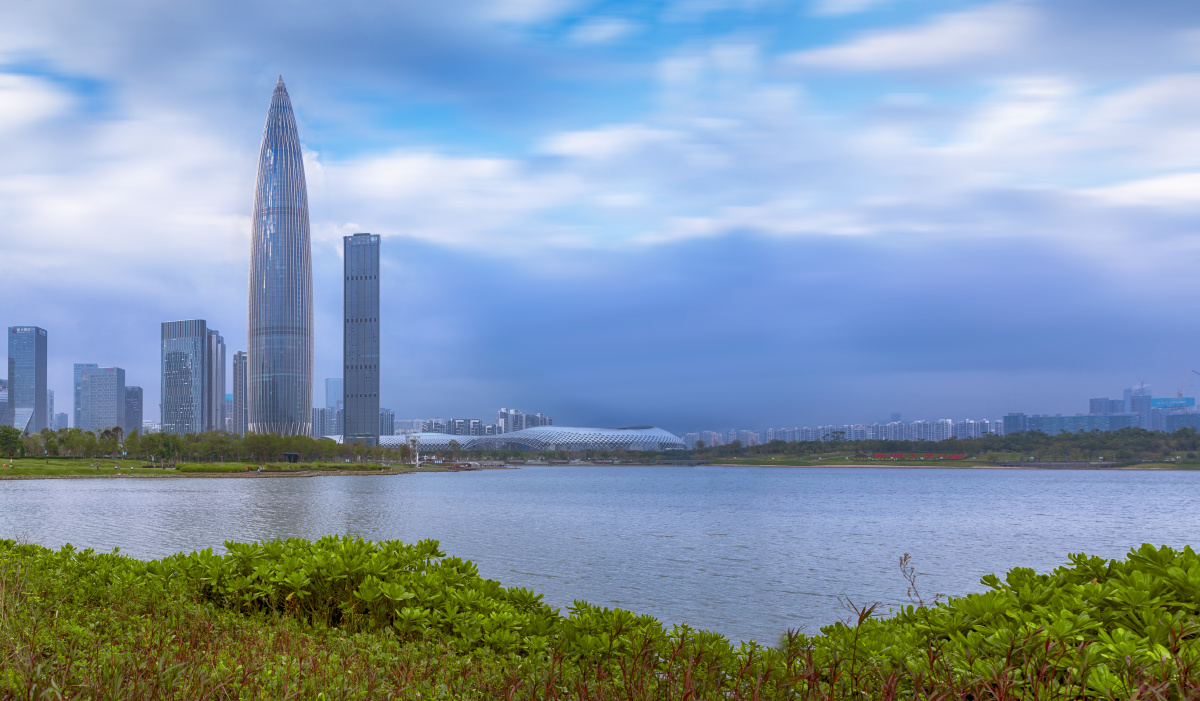 南山区人才公园春笋大厦风光