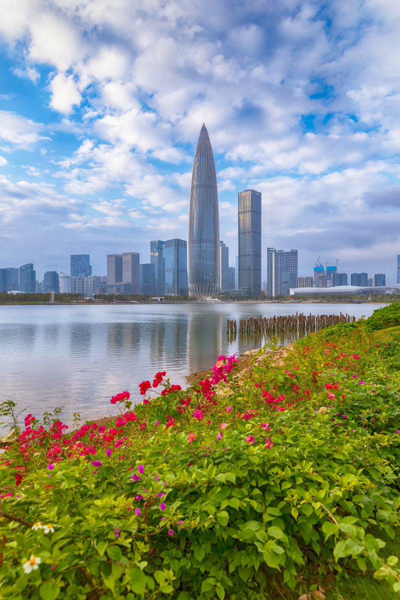 南山区人才公园春笋大厦风光