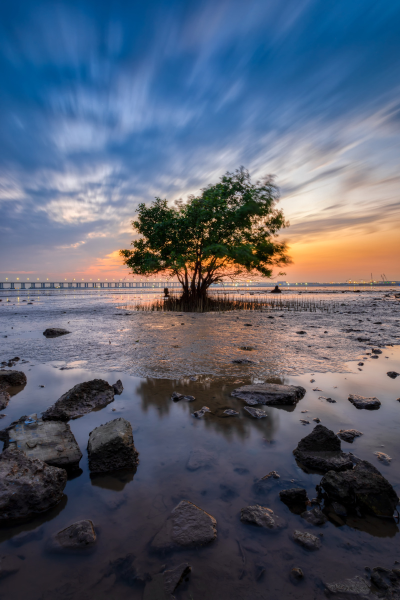 西湾红树林落日余晖