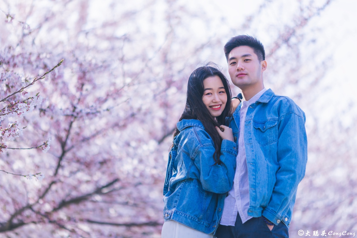 樱花情侣