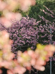 23749901-74DF-4ABB-B62B-2BAF63B2E71C/L0/001