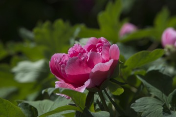 DBG_0080-编辑