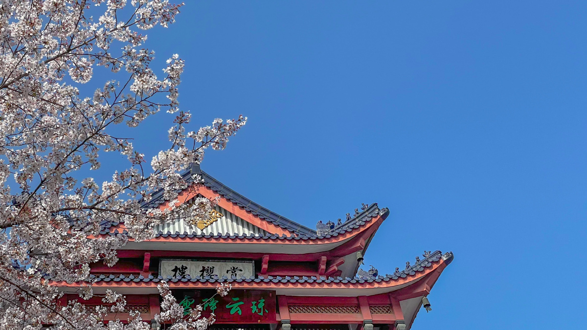 无锡鼋头渚赏樱楼