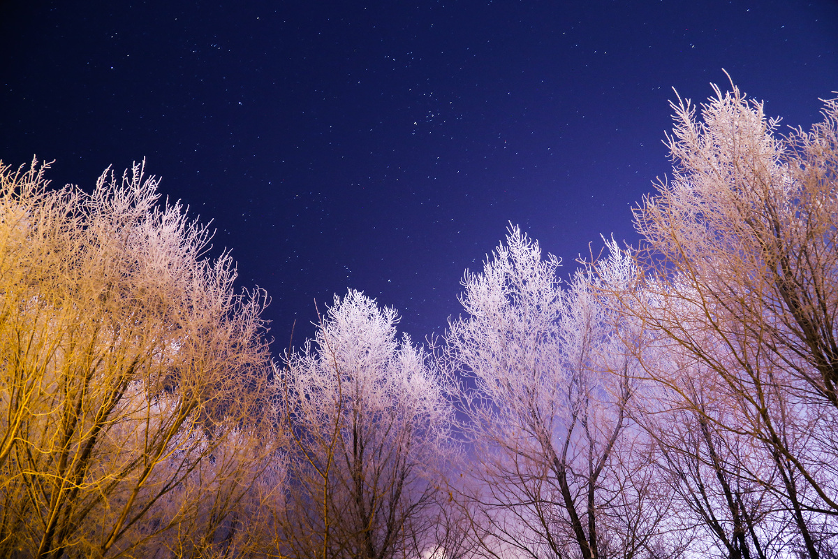 雪夜星空
