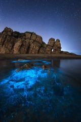 荧光海竖图（视觉中国）