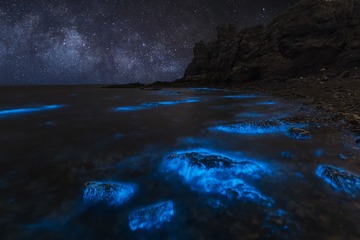 荧光海（视觉中国）