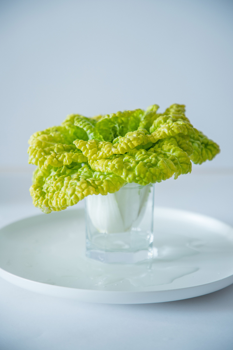 大白菜静物摄影,家里老母亲亲自下地摘的.