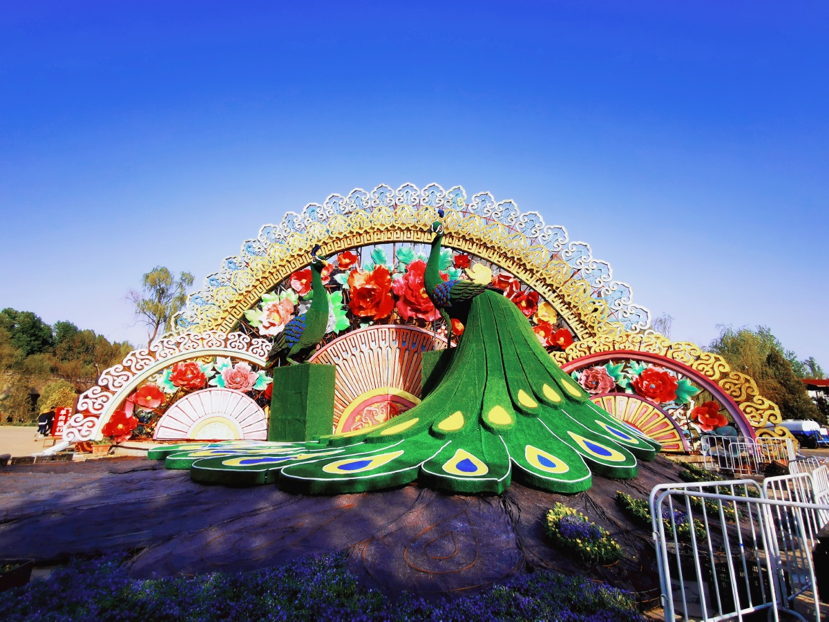 仅仅几张图片就能带你一窥贾家庄生态园的美景418