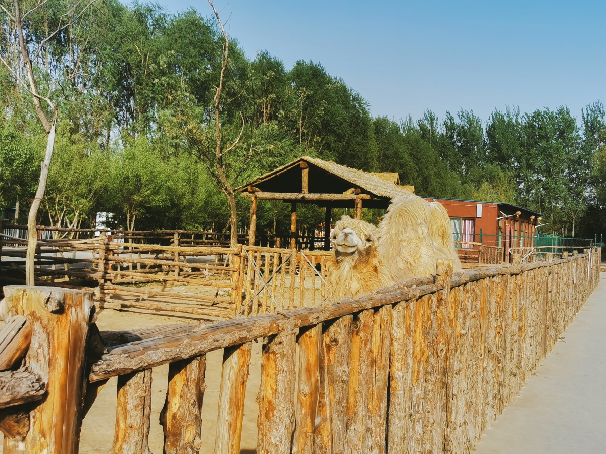 仅仅几张图片就能带你一窥贾家庄生态园的美景418