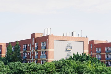 3236802