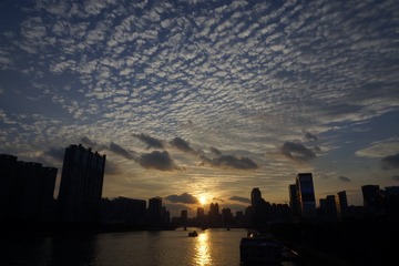 _DSC2486